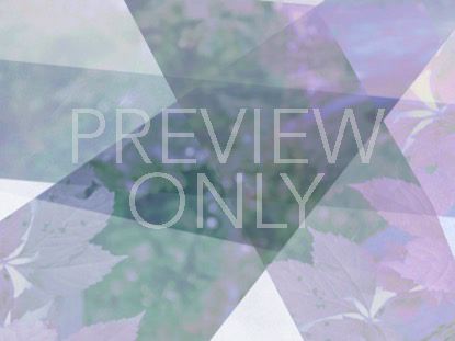 FLORAL FLAIR 3 STILL