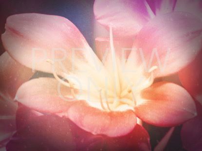 FLOWERS FOR MOM 2 STILL