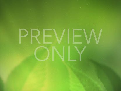 FRESH OUTLOOK STILL 3