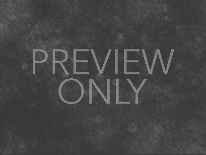 GREYSCALE GLIMMER STILL 6