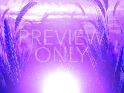 HARVEST SOWING 5 STILL