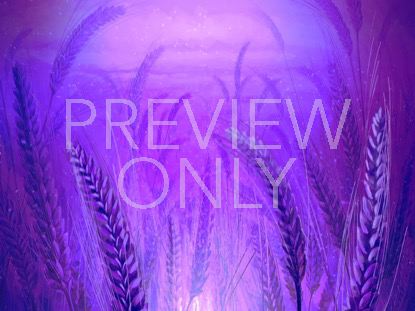 HARVEST SOWING 6 STILL