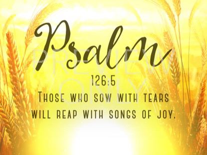 HARVEST SOWING PSALM STILL