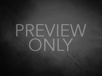 HONORING OUR VETS STILL 4