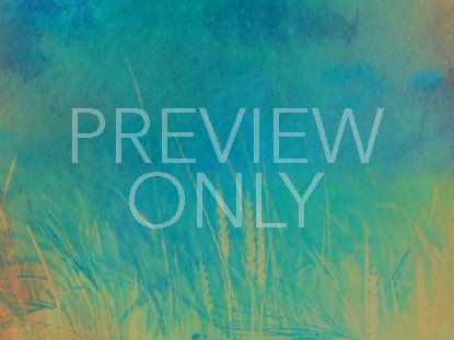 INSPIRING NATURE 2 STILL