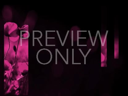 LIGHT OF GRACE 1 STILL