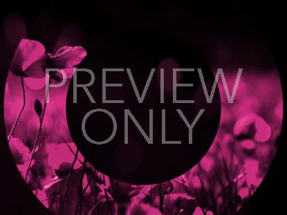 LIGHT OF GRACE 2 STILL