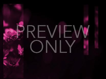 LIGHT OF GRACE 3 STILL