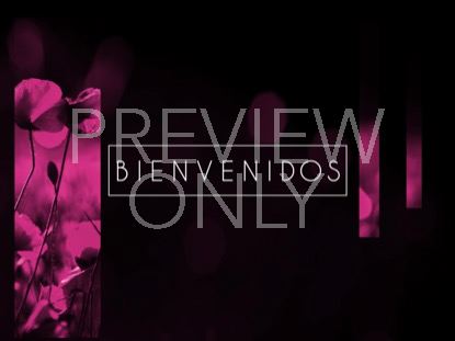 LIGHT OF GRACE WELCOME STILL - SPANISH