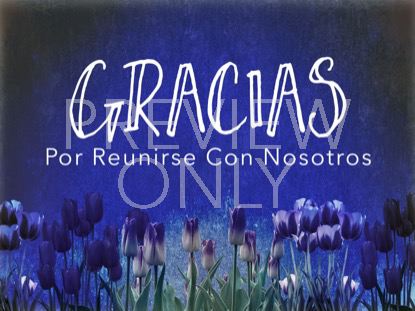 MOTHERS DAY TULIPS CLOSING STILL - SPANISH