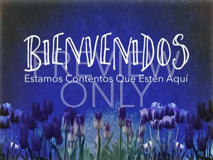 MOTHERS DAY TULIPS WELCOME STILL - SPANISH