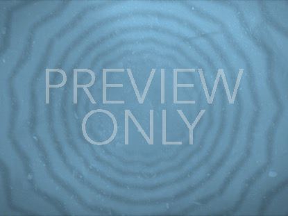 MUTED ECHOES LIGHT BLUE