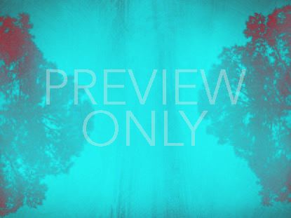 NATURES ECHO 1 STILL