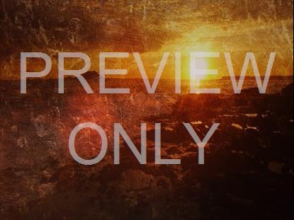 NATURES PALETTE 2 STILL