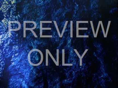 NATURES PALETTE 5 STILL