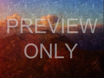 NATURES PALETTE 6 STILL