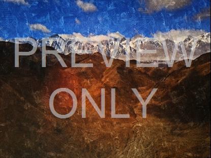 NATURES PALETTE 7 STILL