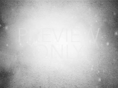 NEW YEAR FRESH START STILL 3