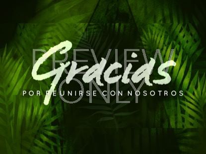 PALM LEAF CLOSING STILL - SPANISH