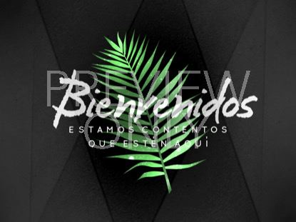 PALM LEAF WELCOME STILL - SPANISH