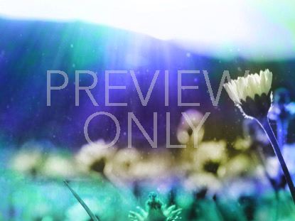 REVEALING NATURE 3 STILL