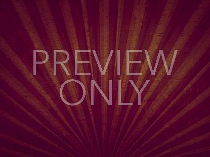 RADIANT PALMS STILL 4