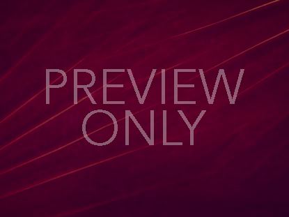 RADIANT PALMS STILL 5