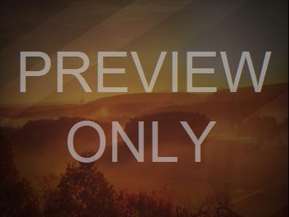 RAISED HALLELUJAH 10 STILL