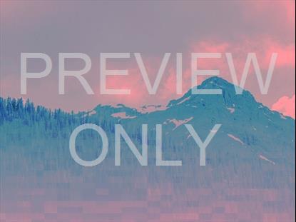 RESURRECTION HOPE STILL 9