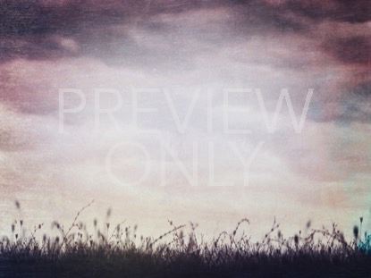 RISING SONGS 6 STILL