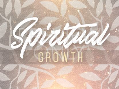 SEASONAL DISPLAY SPIRITUAL GROWTH STILL