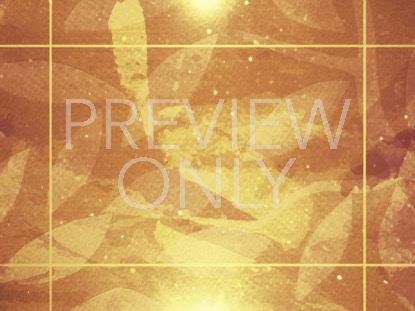 SEASONAL DISPLAY STILL 2