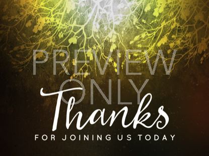 SPICED WOODS CLOSING STILL