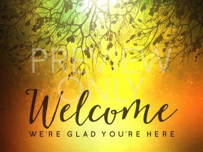 SPICED WOODS WELCOME 1 STILL