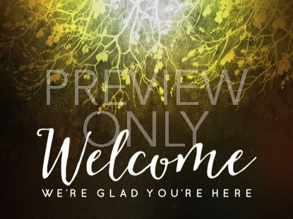 SPICED WOODS WELCOME 2 STILL