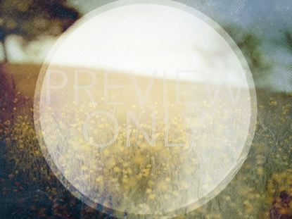 SPRING FORWARD 2 STILL