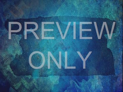 SPRING TO LIFE 2 STILL