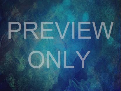 SPRING TO LIFE 3 STILL