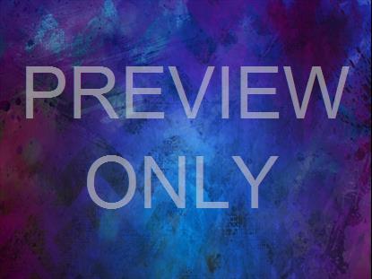 SPRING TO LIFE 8 STILL