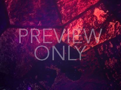 STAINED GLASS STILL 1