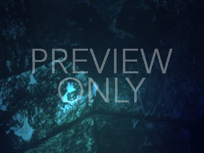 STAINED GLASS STILL 3