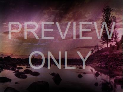 STREAMING BEAUTY 8 STILL