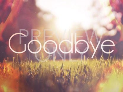 SUNLIT GRASS CLOSING STILL