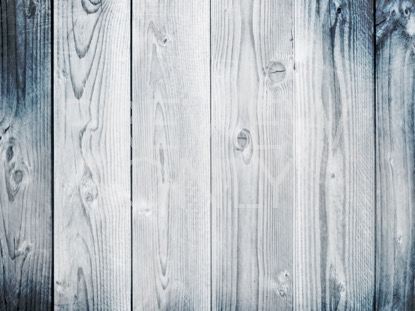 THANKSGIVING ART 2 STILL