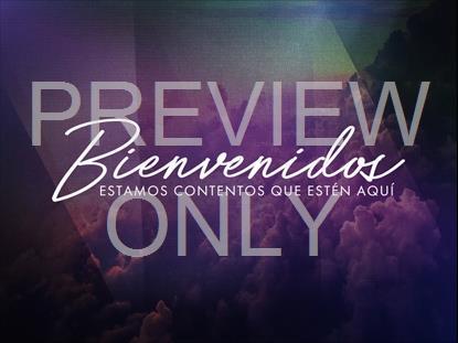 THROUGH THE STORM WELCOME STILL SPANISH