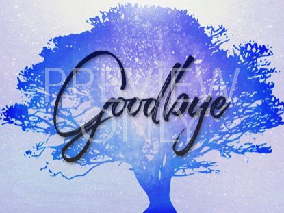 TREE OF LIFE CLOSING STILL