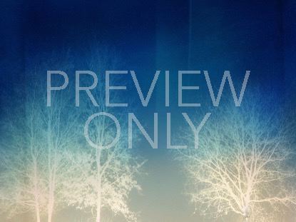 TREES OF GRACE 1 STILL