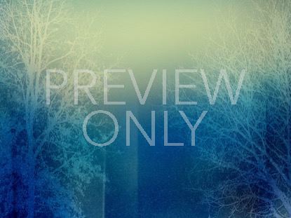 TREES OF GRACE 4 STILL