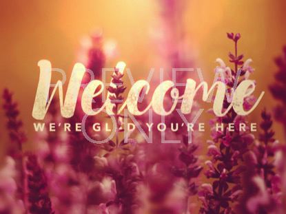 VIBRANT BLOOMS WELCOME STILL