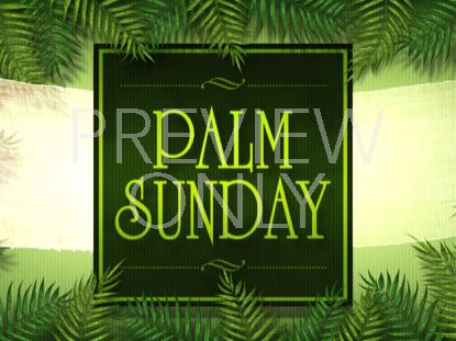 WELCOMING OUR KING STILL 1